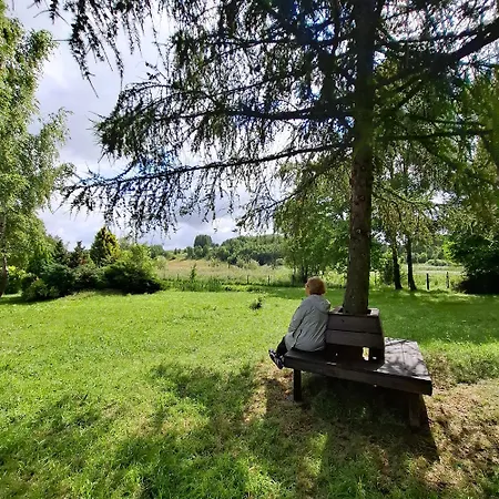 Apartment Tuterra Iii Dluzec (Olkusz)