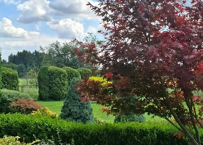 Apartment Tuterra Iii *